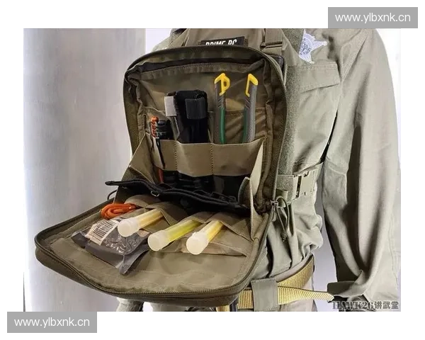 围绕比赛型英雄打造极限战术竞技策略深度实战全方位系统化攻略